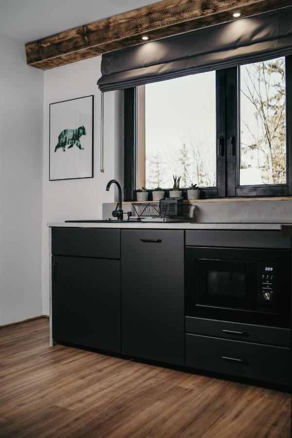 Tatra Loft Apartman Zakopane Kültér fotó